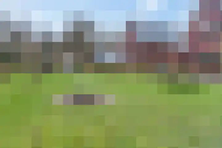 Oversteek 35 Ede thumbnail 55