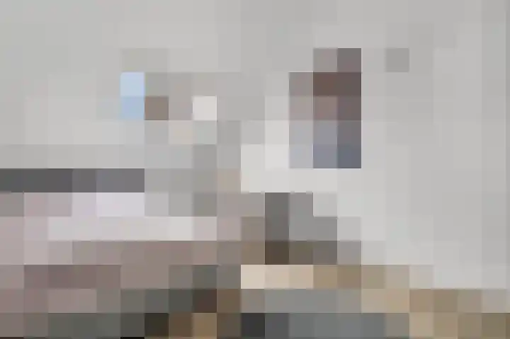 Oversteek 5 Ede thumbnail 22