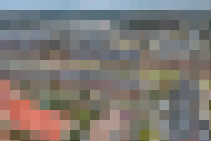 Oversteek 5 Ede thumbnail 40