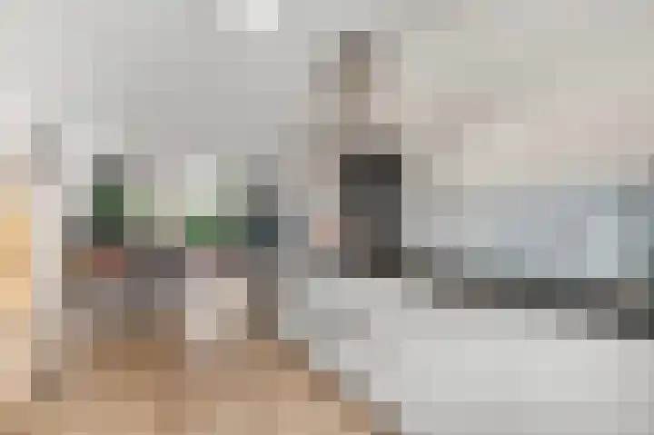 Oversteek 5 Ede thumbnail 9