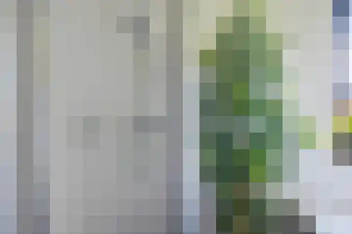 Overstoep 30 Assen thumbnail 27