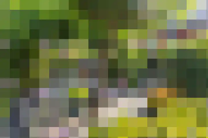 Overstoep 30 Assen thumbnail 4