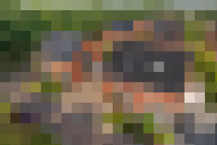 Overstoep 30 Assen thumbnail 5