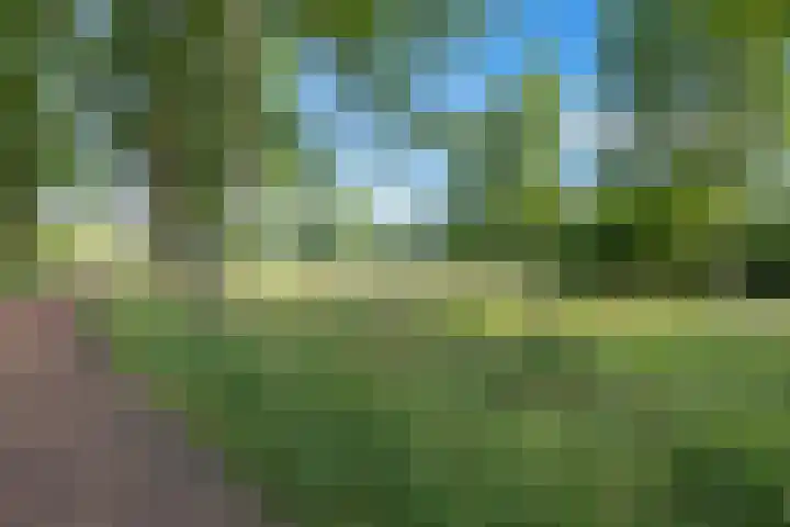 Overstoep 30 Assen thumbnail 51