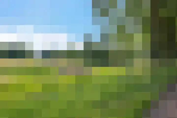 Overstoep 30 Assen thumbnail 54