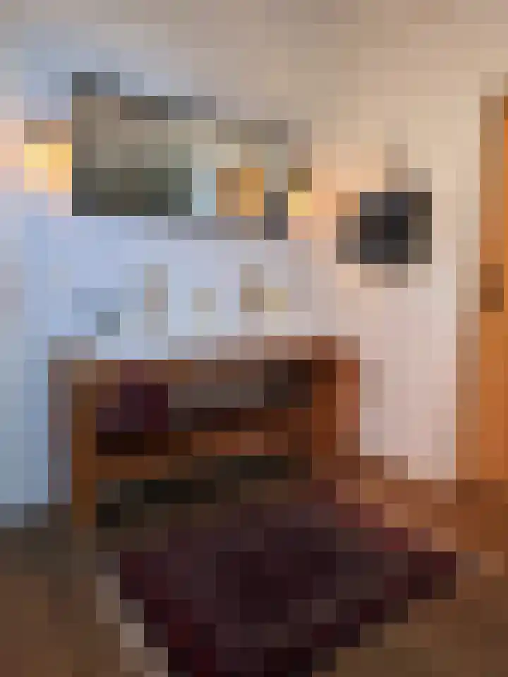 Overstraat 21 Munstergeleen thumbnail 30