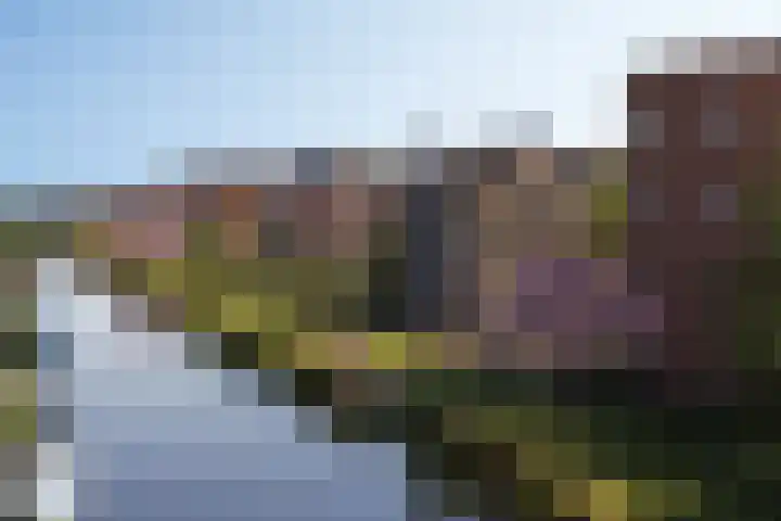 Overtocht 56 Bodegraven thumbnail 10