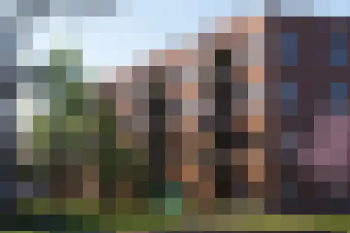 Overtocht 56 Bodegraven thumbnail 6