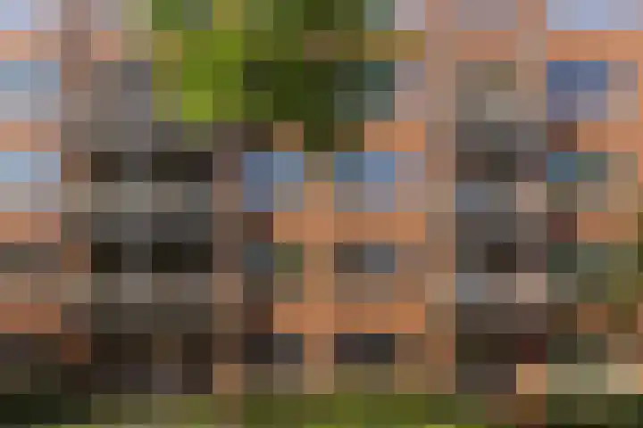 Overtocht 56 Bodegraven thumbnail 8