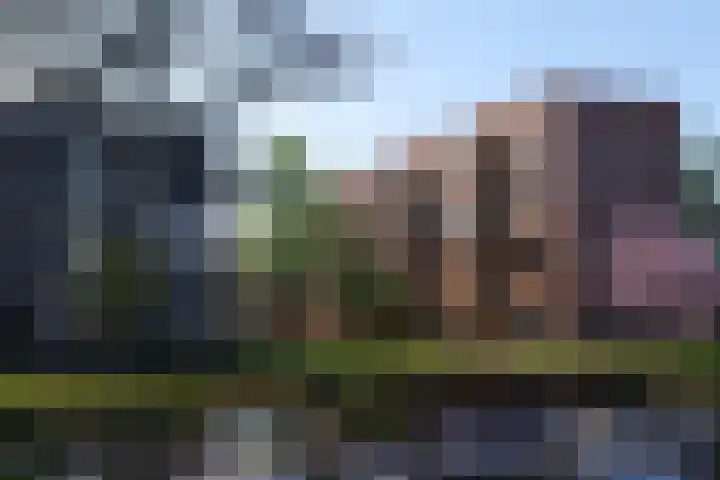 Overtocht 56 Bodegraven thumbnail 9