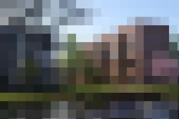 Overtocht 60 Bodegraven thumbnail 10
