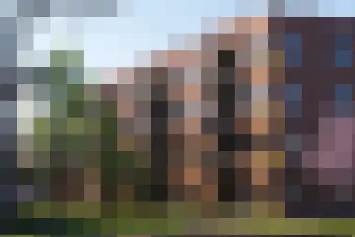 Overtocht 60 Bodegraven thumbnail 8