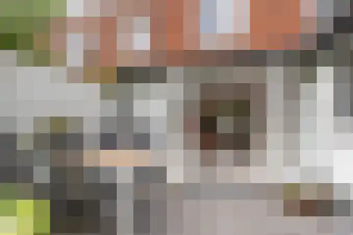Overtonstraat 24 Haarlem thumbnail 21