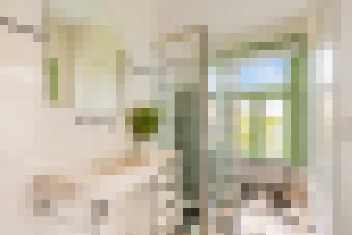 Overtoom 12 2 Amsterdam thumbnail 30