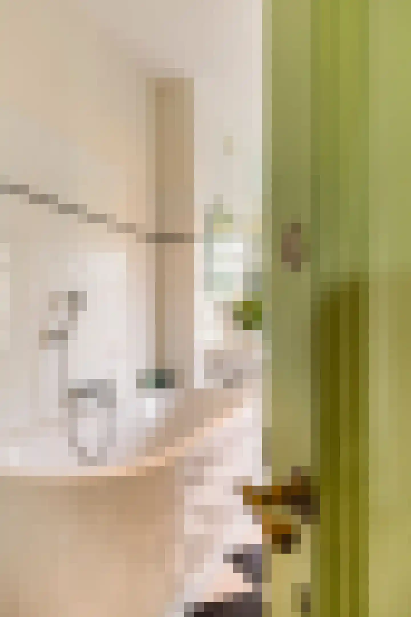 Overtoom 12 H Amsterdam thumbnail 31