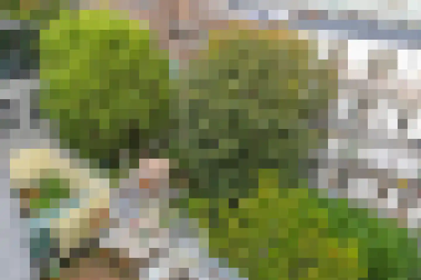 Overtoom 12 H Amsterdam thumbnail 63