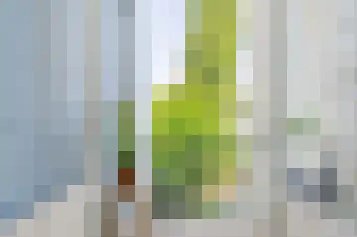 Overtoom 246 2 Amsterdam thumbnail 18