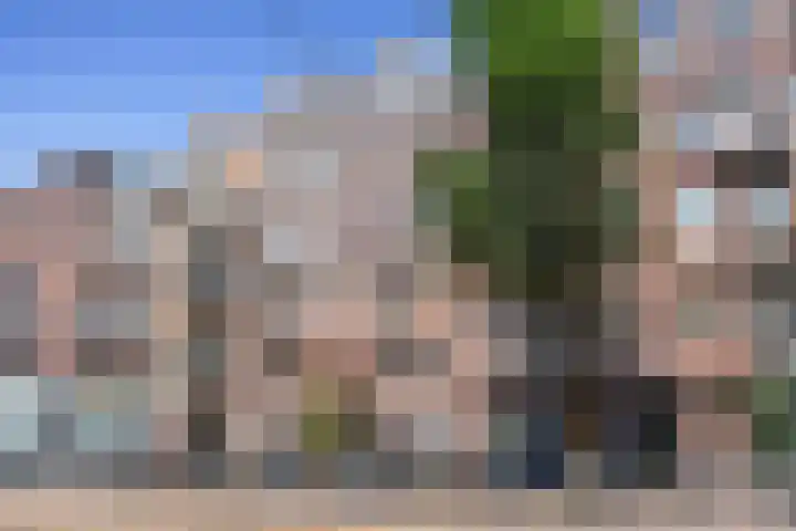 Overtoom 246 2 Amsterdam thumbnail 30