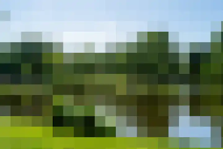 Overtoom 278 C Amsterdam thumbnail 36