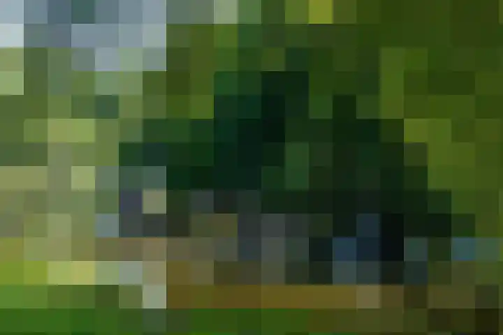 Overtoom 278 C Amsterdam thumbnail 38