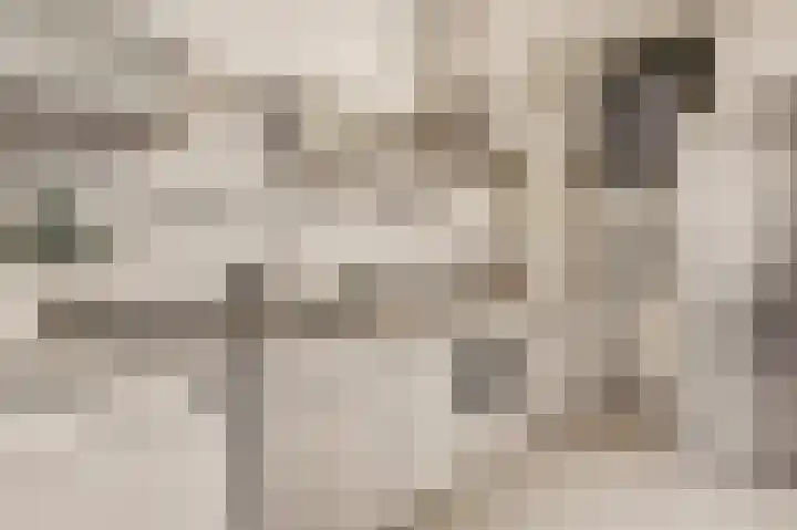 Overtoom 298 1 Amsterdam thumbnail 18