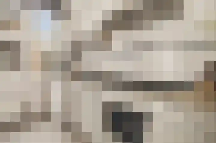 Overtoom 298 1 Amsterdam thumbnail 19