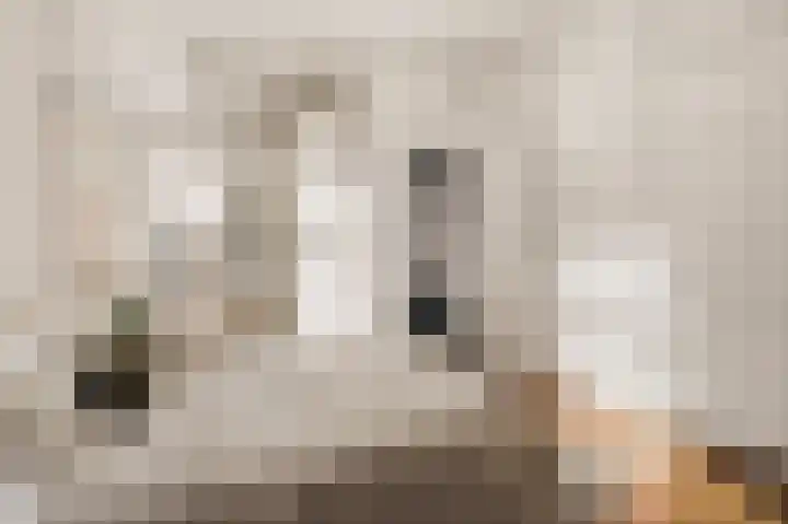 Overtoom 298 1 Amsterdam thumbnail 21