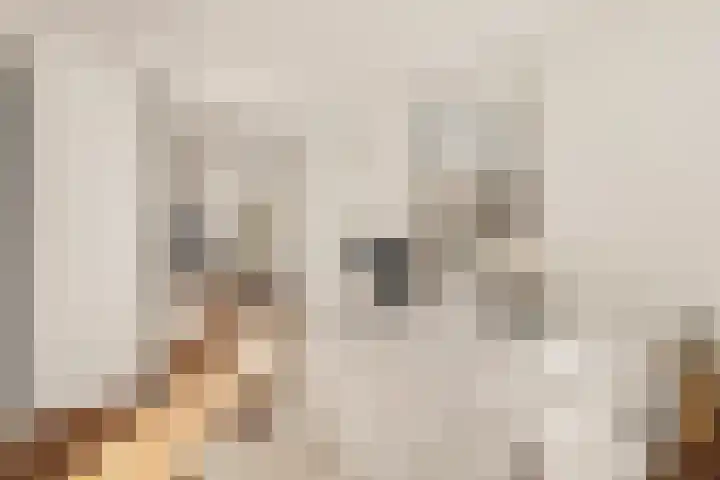 Overtoom 298 1 Amsterdam thumbnail 23