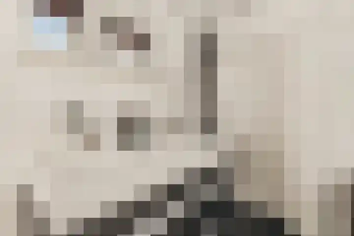 Overtoom 298 1 Amsterdam thumbnail 26