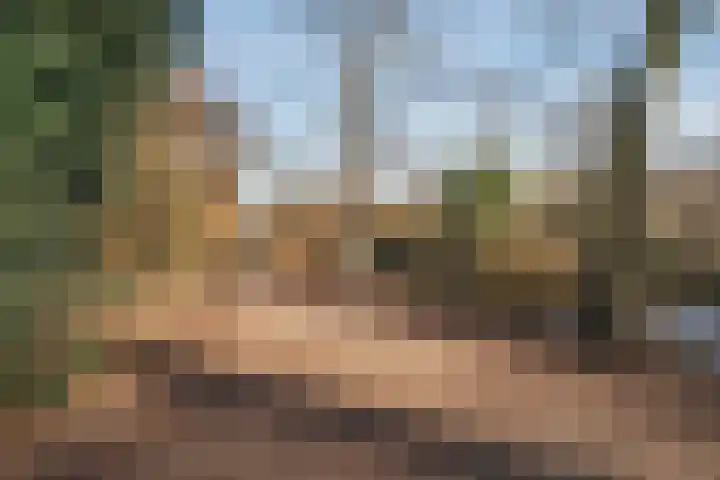 Overtoom 298 1 Amsterdam thumbnail 33