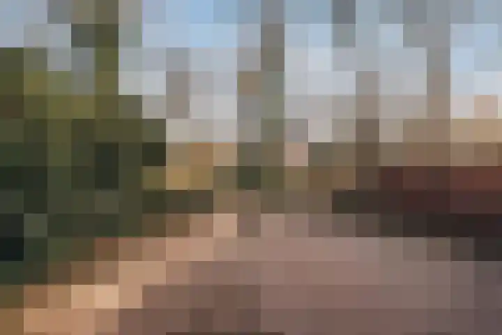 Overtoom 298 1 Amsterdam thumbnail 34