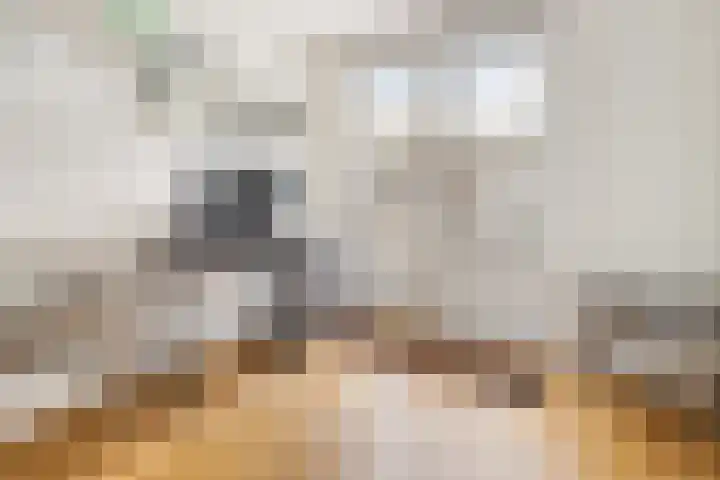 Overtoom 34 O Amsterdam thumbnail 28
