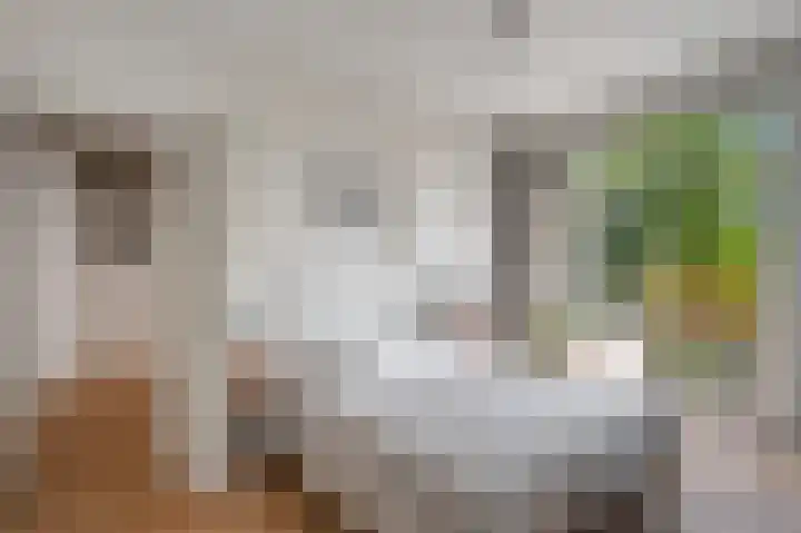 Overtoom 345 1 Amsterdam thumbnail 4