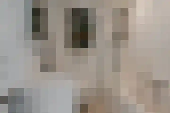 Overtoom 433 2 Amsterdam thumbnail 5