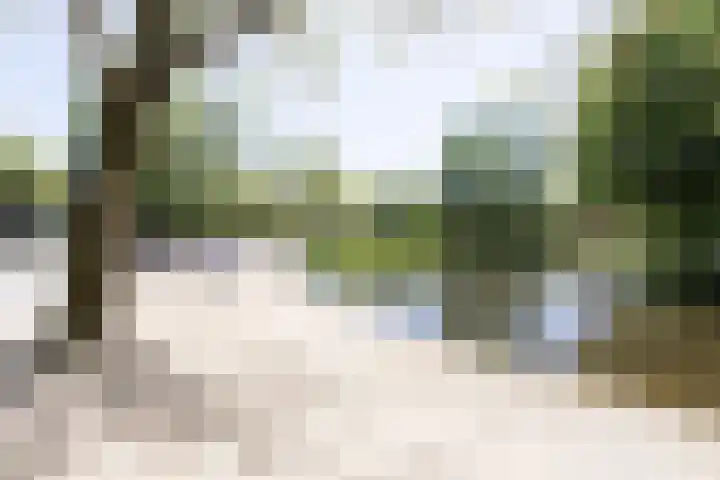 Overtoom 440 2 Amsterdam thumbnail 30