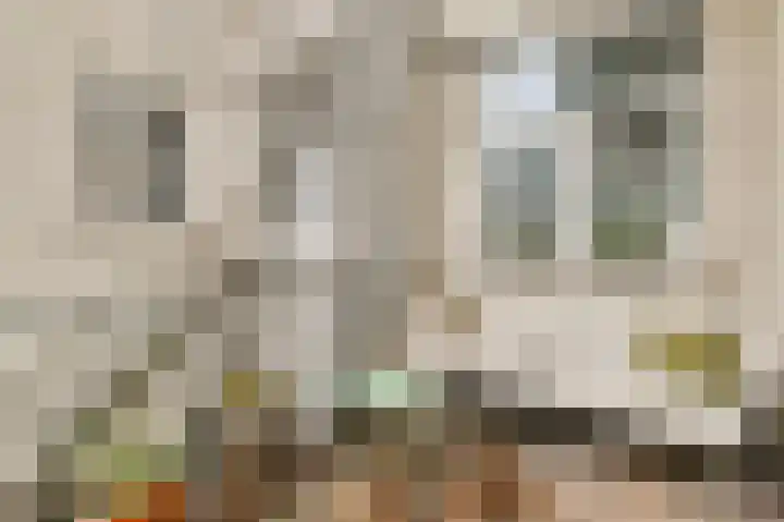 Overtoom 499 2 Amsterdam thumbnail 17