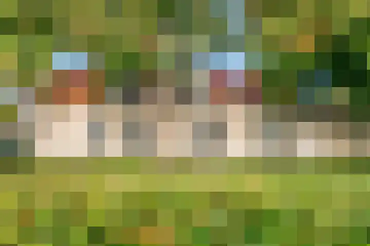 Overtoom 52 Castricum thumbnail 23