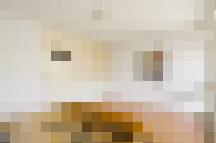 Overtoom 533 A Amsterdam thumbnail 19