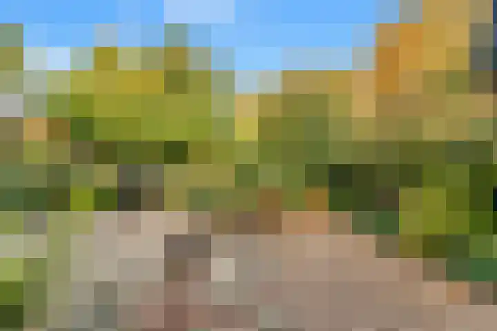Overtoom 54 Castricum thumbnail 22