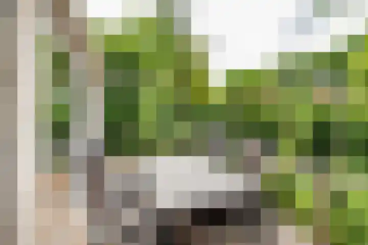 Overtuin 10 A Terborg thumbnail 28