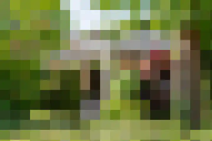 Overtuin 10 A Terborg thumbnail 32