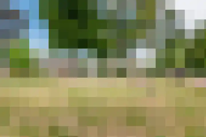 Overtuin 10 A Terborg thumbnail 34