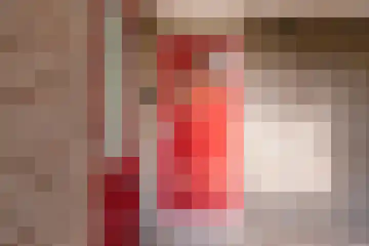 Overtuin 10 A Terborg thumbnail 6