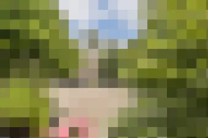 Overvoorde 30 Amsterdam thumbnail 16