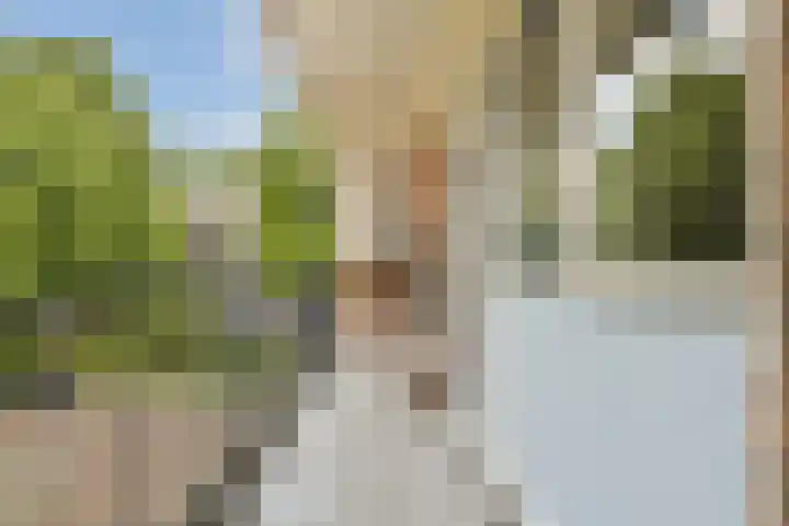 Overvoorde 30 Amsterdam thumbnail 20