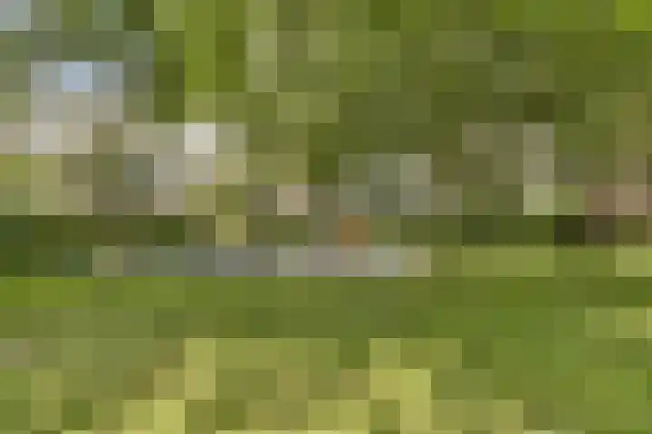 Overvoorde 30 Amsterdam thumbnail 21