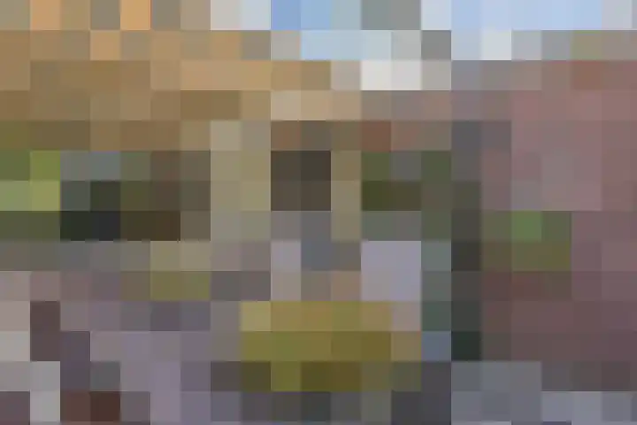 Overwater 12 Zoetermeer thumbnail 20