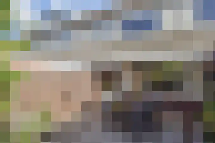 Overwater 12 Zoetermeer thumbnail 24