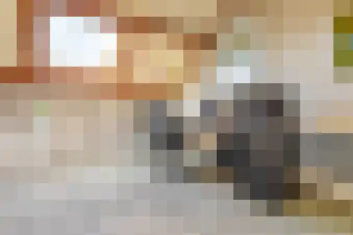 Overwater 12 Zoetermeer thumbnail 37