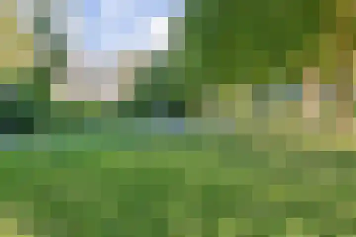 Overwater 12 Zoetermeer thumbnail 42